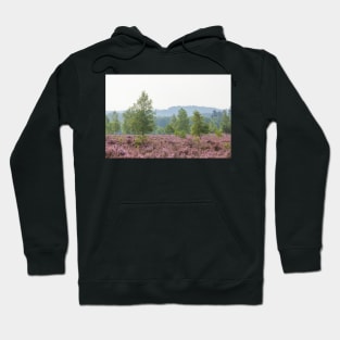 Heathland, morning mist, heather bloom, Niederhaverbeck Hoodie